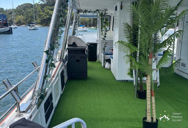 06   Curious George 2026 